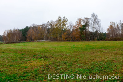 działka budowlana 4020 m2 Wolica  Szałe -  Wolica  -
wielkopolskie Zdjęcie nr 2
