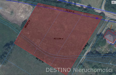 działka budowlana 4020 m2 Wolica  Szałe -  Wolica  -
wielkopolskie Zdjęcie nr 3