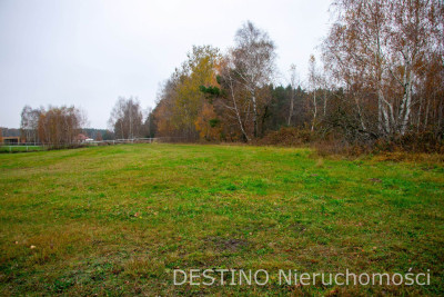działka budowlana 4020 m2 Wolica  Szałe -  Wolica  -
wielkopolskie Zdjęcie nr 5