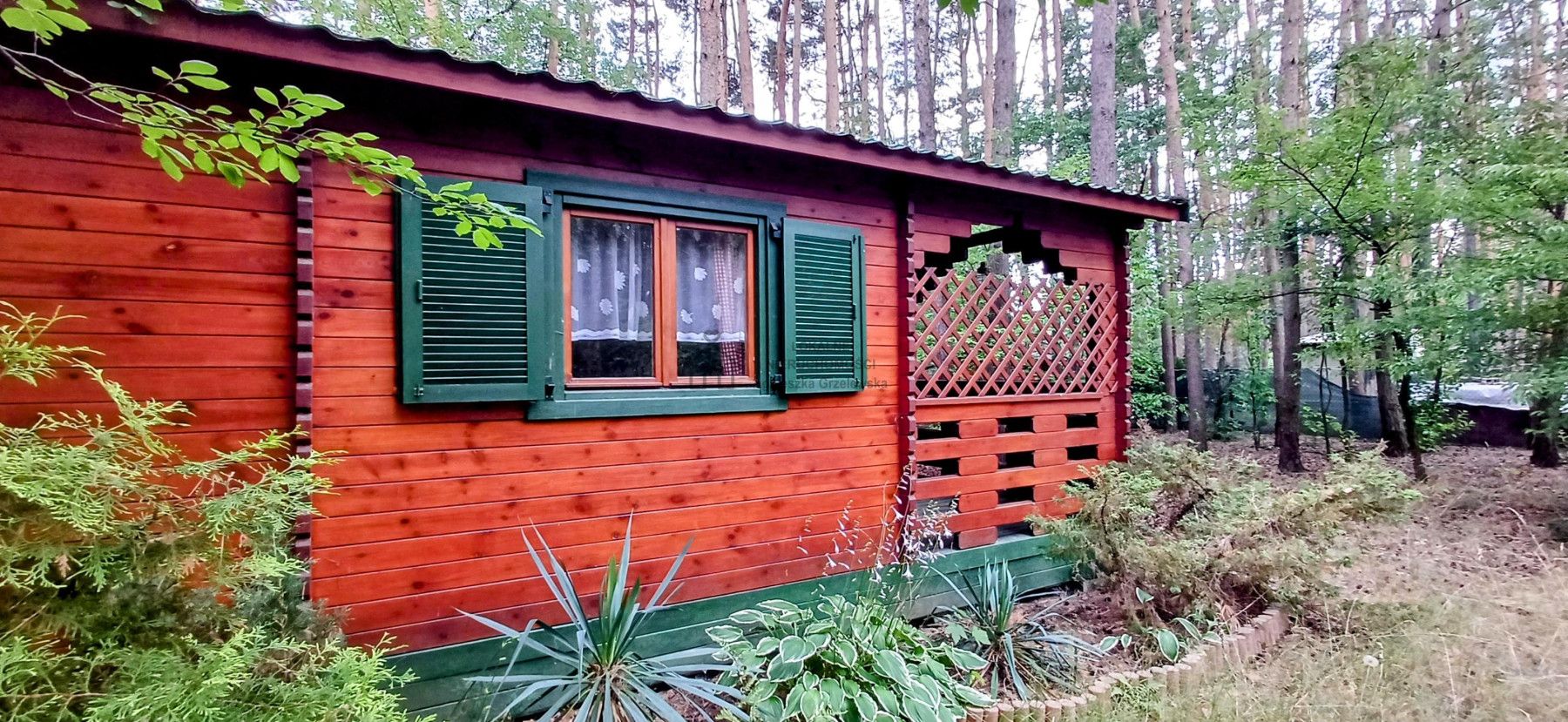 Działka dla Ciebie i Twojej rodziny domrekreacja Włodzimierz - Włodzimierz  -
łódzkie Zdjęcie nr 1