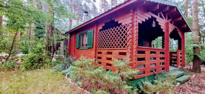 Działka dla Ciebie i Twojej rodziny domrekreacja Włodzimierz - Włodzimierz  -
łódzkie Zdjęcie nr 2