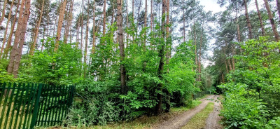 Działka dla Ciebie i Twojej rodziny domrekreacja Włodzimierz - Włodzimierz  -
łódzkie Zdjęcie nr 6