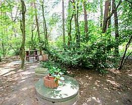 Działka dla Ciebie i Twojej rodziny domrekreacja Włodzimierz - Włodzimierz  -
łódzkie Zdjęcie nr 9