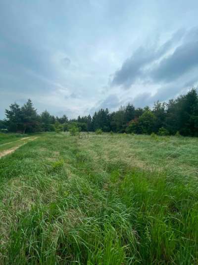 Urocza działka w ciszy i zieleni Rokitnica gm Łask - Rokitnica  -
łódzkie Zdjęcie nr 6