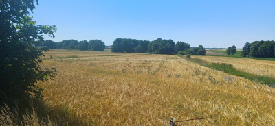 Działka przy trasie 714 Grodzsko Rzgów pow łódzki wschodni - Rzgów  -
łódzkie Zdjęcie nr 10