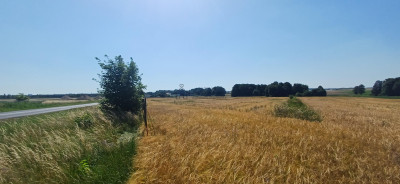 Działka przy trasie 714 Grodzsko Rzgów pow łódzki wschodni - Rzgów  -
łódzkie Zdjęcie nr 13