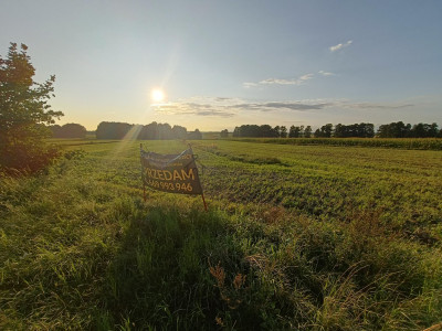 Działka przy trasie 714 Grodzsko Rzgów pow łódzki wschodni - Rzgów  -
łódzkie Zdjęcie nr 2