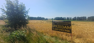 Działka przy trasie 714 Grodzsko Rzgów pow łódzki wschodni - Rzgów  -
łódzkie Zdjęcie nr 5