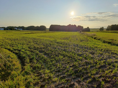 Działka przy trasie 714 Grodzsko Rzgów pow łódzki wschodni - Rzgów  -
łódzkie Zdjęcie nr 6