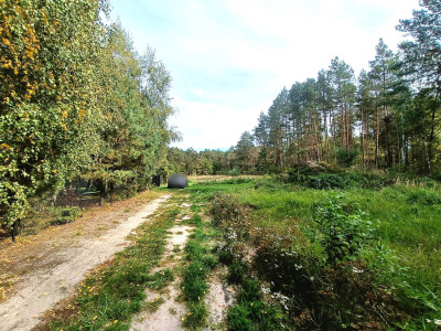 Śliczna działka przy lesie Helenów gm Głowno - Helenów  -
łódzkie Zdjęcie nr 11