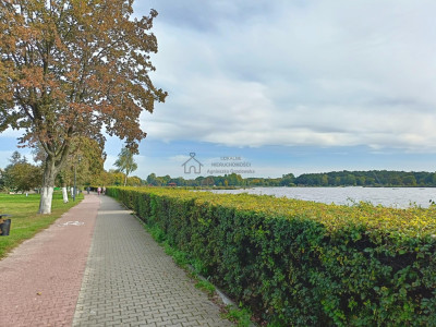 Śliczna działka przy lesie Helenów gm Głowno - Helenów  -
łódzkie Zdjęcie nr 12