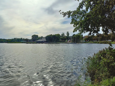 Śliczna działka przy lesie Helenów gm Głowno - Helenów  -
łódzkie Zdjęcie nr 13