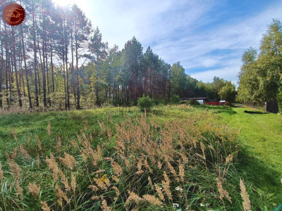 Śliczna działka przy lesie Helenów gm Głowno - Helenów  - łódzkie