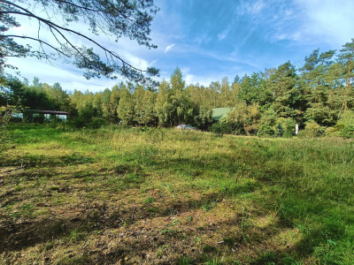 Śliczna działka przy lesie Helenów gm Głowno - Helenów  -
łódzkie Zdjęcie nr 8