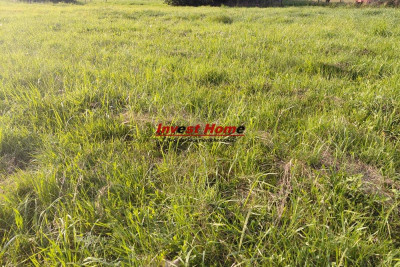 Zielona działka Orzesze Woszczyce 1033m2 - Orzesze  - śląskie