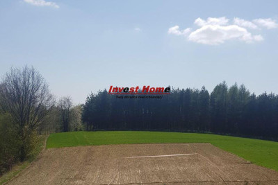  Atrakcyjna działka budowlana Gogołowa 1376 m2  - Gogołowa  - śląskie