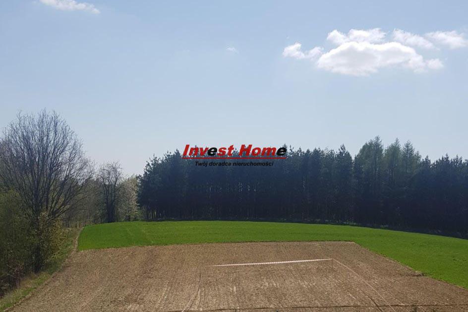  Atrakcyjna działka budowlana Gogołowa 1376 m2  - Gogołowa   -
śląskie Zdjęcie nr 1