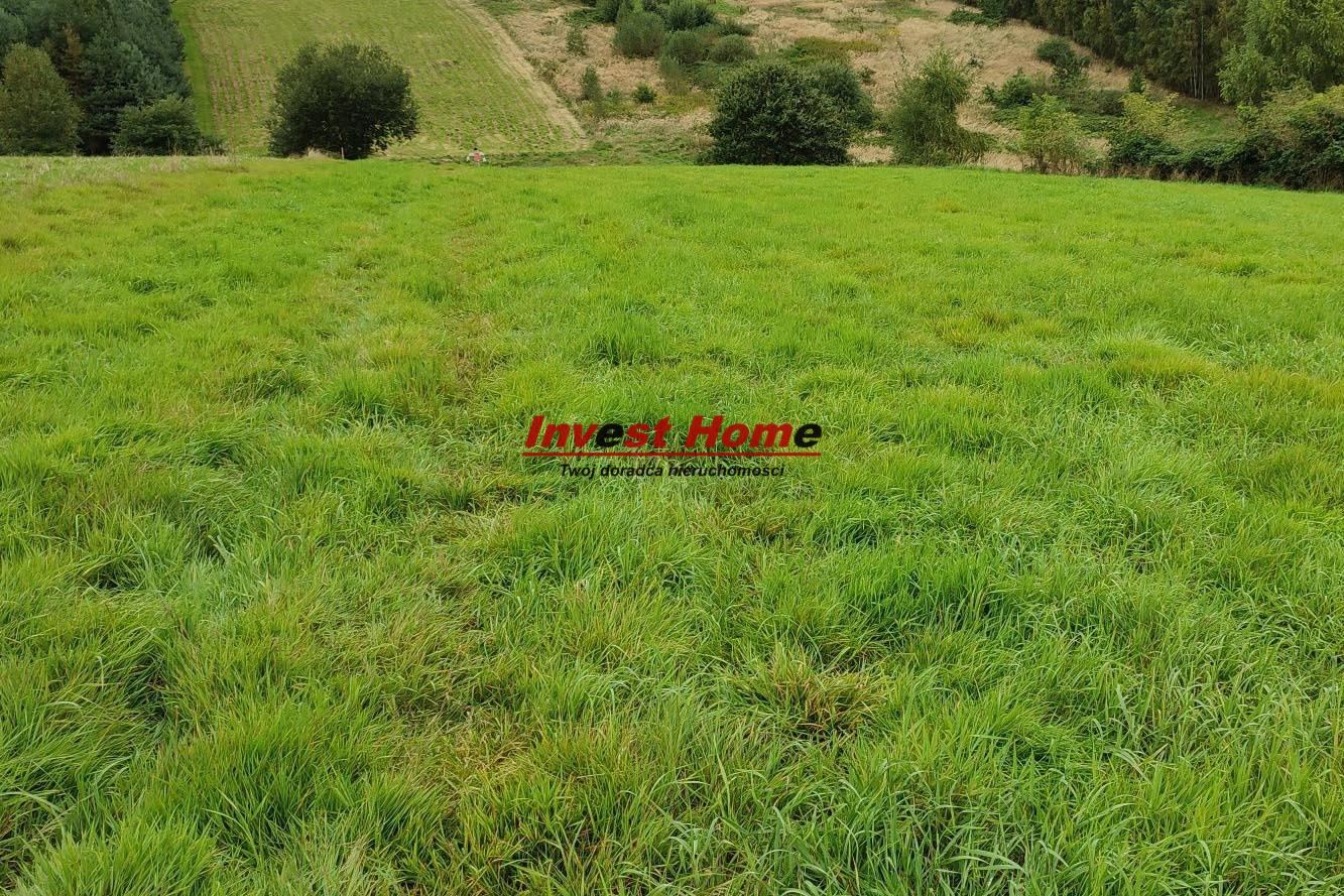  Atrakcyjna działka budowlana Mszana 1000 m2 - Mszana   -
śląskie Zdjęcie nr 1