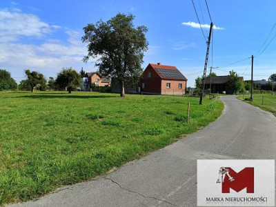 Działka pod budowę 19 arów Cisek powiat K-Kozie - Cisek  -
OPOLSKIE Zdjęcie nr 2
