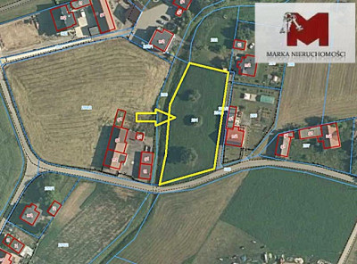 Działka pod budowę 19 arów Cisek powiat K-Kozie - Cisek  -
OPOLSKIE Zdjęcie nr 4