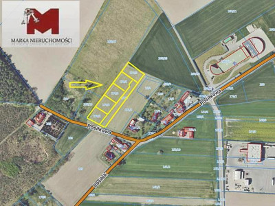 Działki pod budowe Dąbrówka Górna - Dąbrówka Górna  -
OPOLSKIE Zdjęcie nr 3