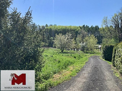 Działka z warunkami na bud Lwowiany - Głubczyce - Lwowiany  -
OPOLSKIE Zdjęcie nr 2