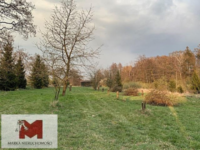 Działka z warunkami na bud Lwowiany - Głubczyce - Lwowiany  -
OPOLSKIE Zdjęcie nr 4