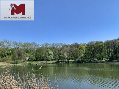 Działka z warunkami na bud Lwowiany - Głubczyce - Lwowiany  -
OPOLSKIE Zdjęcie nr 5