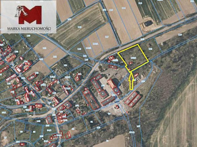 Działka z warunkami na bud Lwowiany - Głubczyce - Lwowiany  -
OPOLSKIE Zdjęcie nr 7