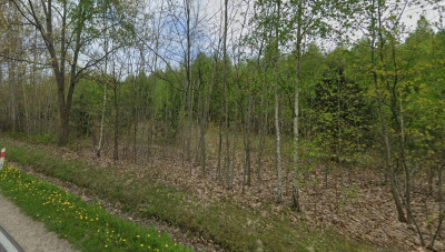 223 ha ul Gościniec Niepodległości Węgrów - Węgrów   - mazowieckie