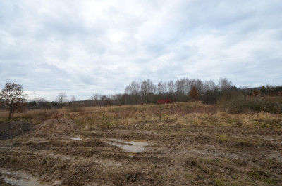 Działka Koszalin ul Bonifacego do sprzedaży - Koszalin  -
zachodniopomorskie Zdjęcie nr 6
