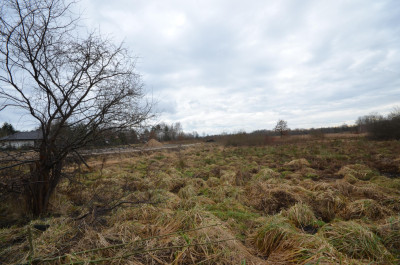 Działka Koszalin ul Bonifacego do sprzedaży - Koszalin  -
zachodniopomorskie Zdjęcie nr 7