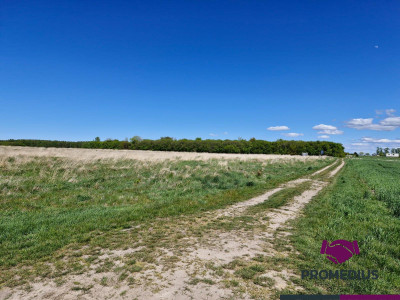 Działki budowlane Koszalin Jamno - Koszalin  -
zachodniopomorskie Zdjęcie nr 3