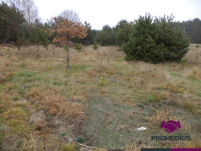 Działki w Kolonii - Żelków - Żelków-Kolonia  -
mazowieckie Zdjęcie nr 2