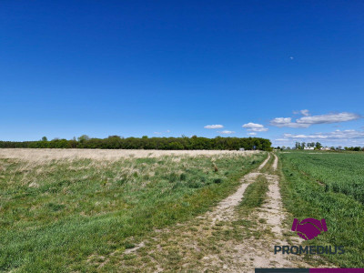 Działki budowlane Koszalin Jamno - Koszalin  - zachodniopomorskie