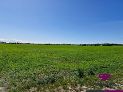 Działki budowlane Koszalin Jamno - Koszalin  -
zachodniopomorskie Zdjęcie nr 3