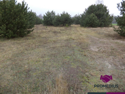 Działki w Kolonii - Żelków - Żelków-Kolonia  -
mazowieckie Zdjęcie nr 4