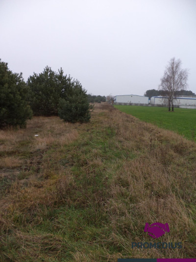 Działki w Kolonii - Żelków - Żelków-Kolonia  -
mazowieckie Zdjęcie nr 7