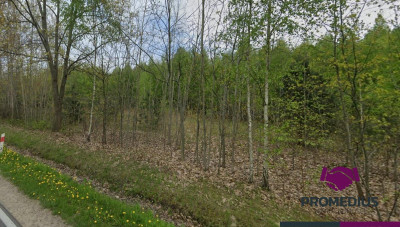 223 ha ul Gościniec Niepodległości Węgrów - Węgrów  - mazowieckie
