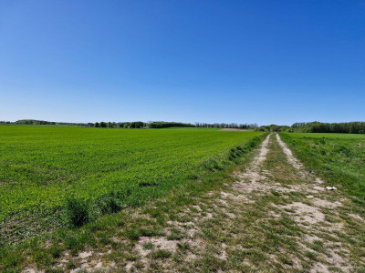 Działki budowlane Koszalin Jamno - Koszalin  -
zachodniopomorskie Zdjęcie nr 2