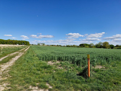 Działki budowlane Koszalin Jamno - Koszalin  - zachodniopomorskie
