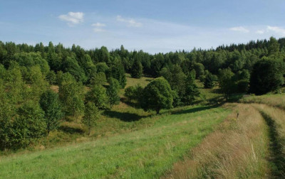 Okazja Teren Inwestycyjny z potencjałem Agroturystyka - Kamieńczyk   - dolnośląskie