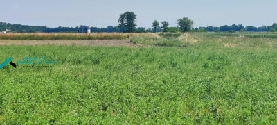 TANIA DZIAŁKA W ATRAKCYJNEJ CENIE PRZY PUSZCZY KAMPINOSKIEJ - Zaborówek   -
mazowieckie Zdjęcie nr 3