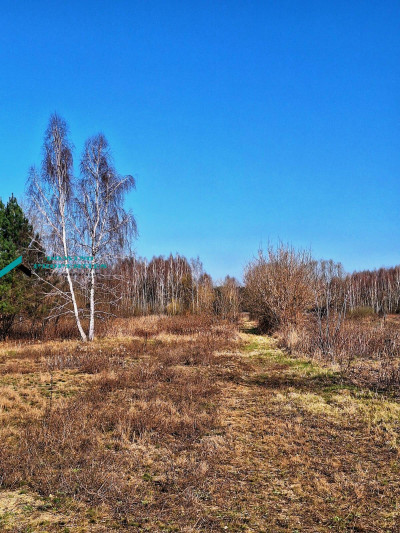 DZIAŁKA SIEDLISKOWA W ATRAKCYNEJ LOKALIZACJI - Borzęcin Duży   -
mazowieckie Zdjęcie nr 7