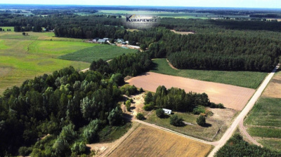 59 arów - Zabudowa Jednorodzinna - Pełty gm. Myszyniec - mazowieckie