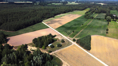 59 arów - Zabudowa Jednorodzinna - Pełty gm. Myszyniec -
mazowieckie Zdjęcie nr 2
