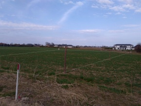 PIĘKNA DZIAŁKA POD DOM Z POZWOLENIEM NA BUDOWĘ -
kujawsko-pomorskie Zdjęcie nr 2