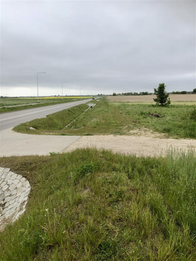 Działka pod budowę domów jednorodzinnych Dębogórze - Dębogórze  -
Pomorskie Zdjęcie nr 6