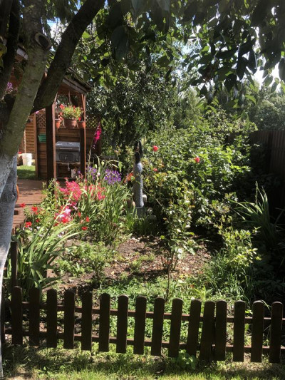 Sprzedaż 2 działek lub zamiana na mieszkanie z dop - Rumia  -
Pomorskie Zdjęcie nr 14