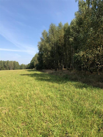 Grunt rolny Gmina Łęczyce - Wysokie  -
Pomorskie Zdjęcie nr 3